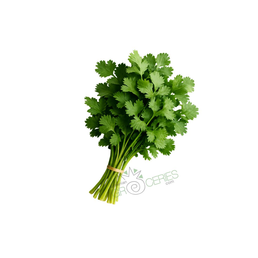 Cilantro