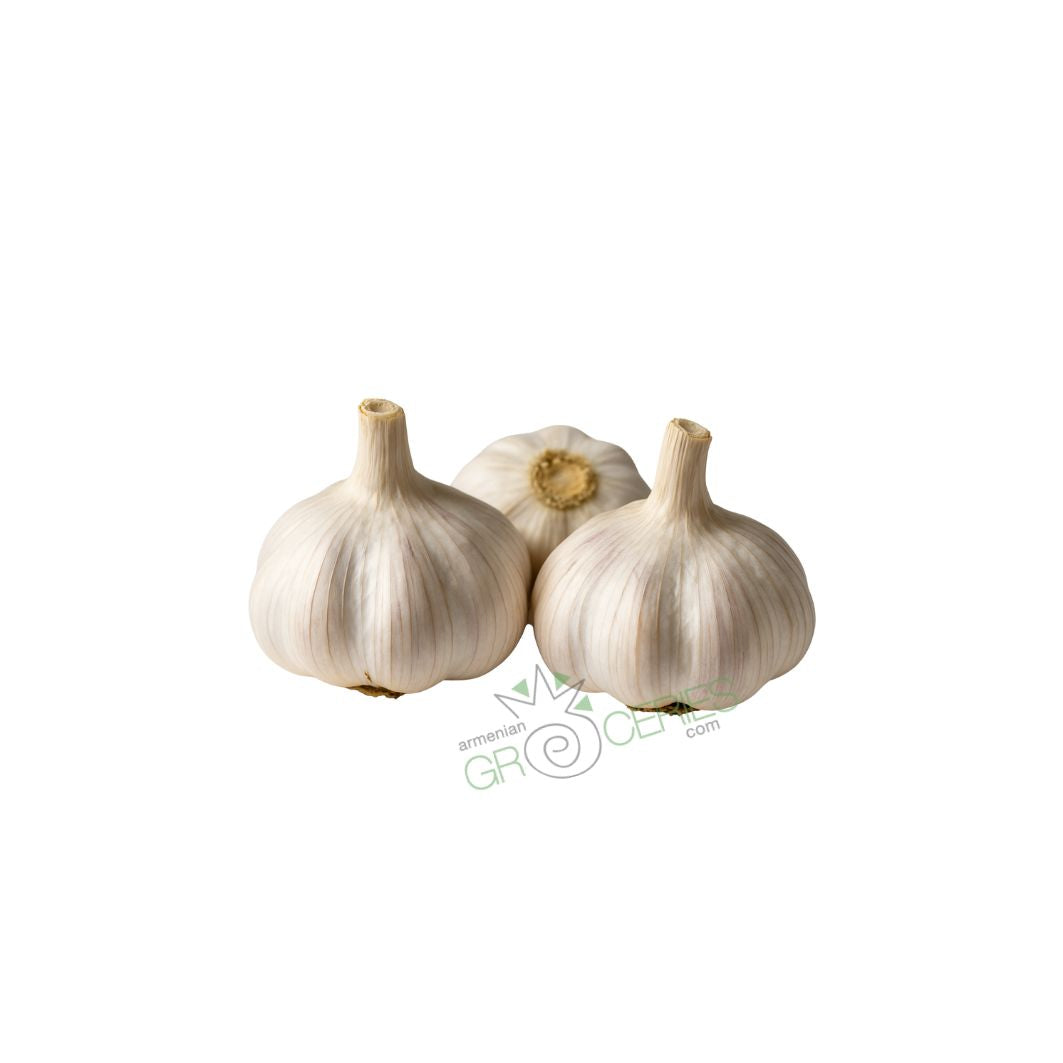 Garlic