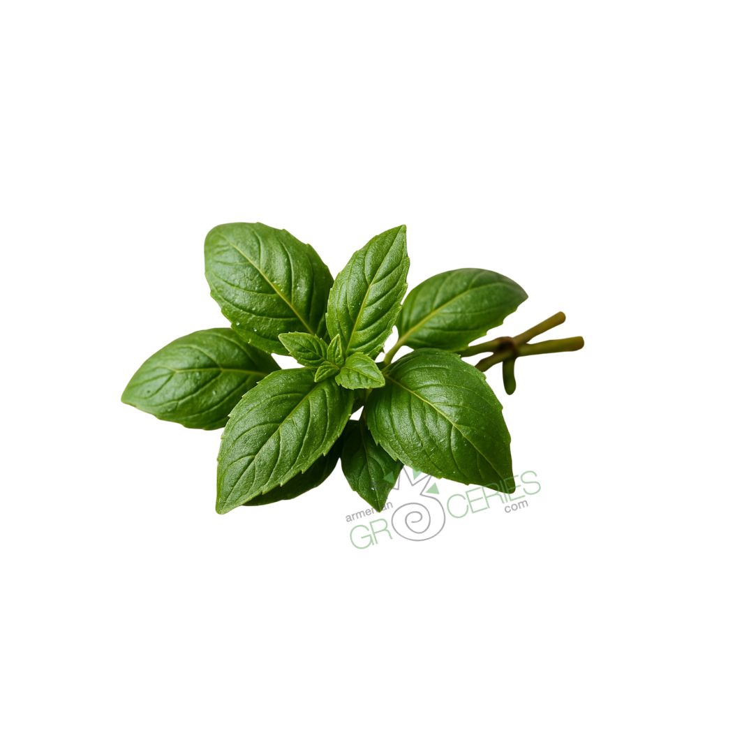 Green Basil