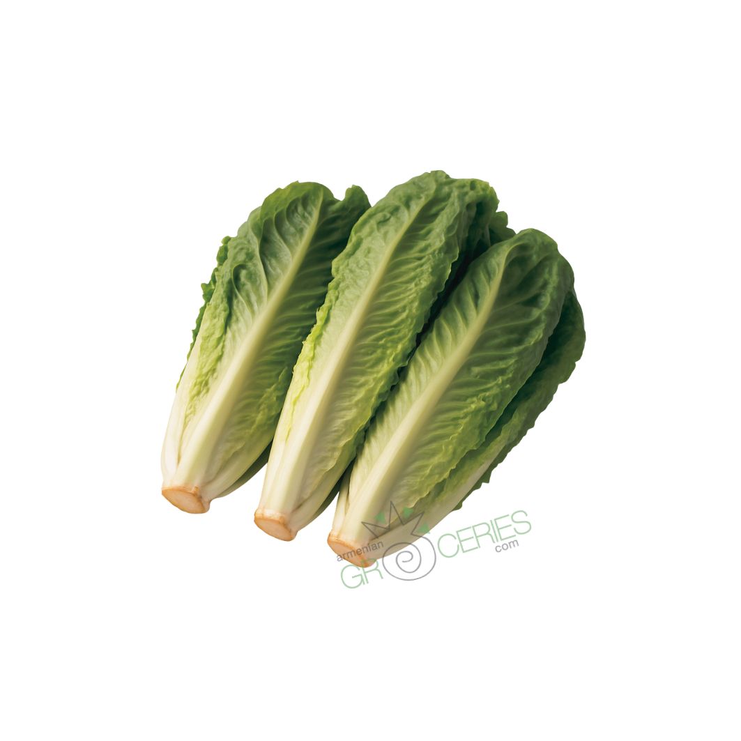 Romaine Lettuce 3 pack